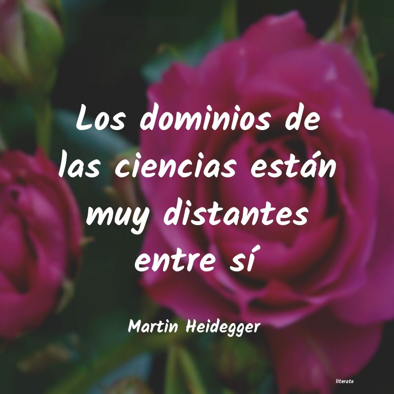 Frases de Martin Heidegger