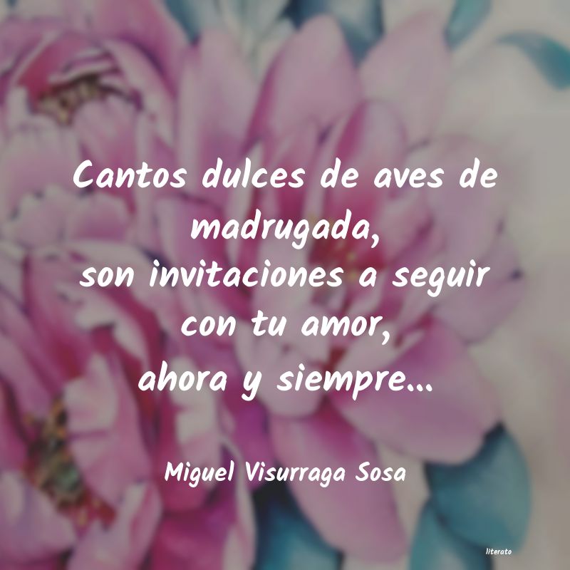 Frases de Miguel Visurraga Sosa