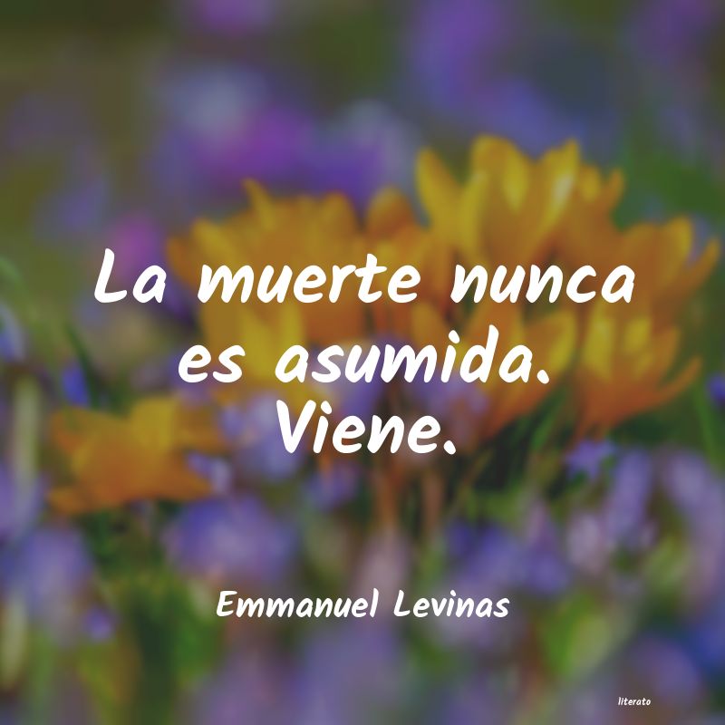 Frases de Emmanuel Levinas