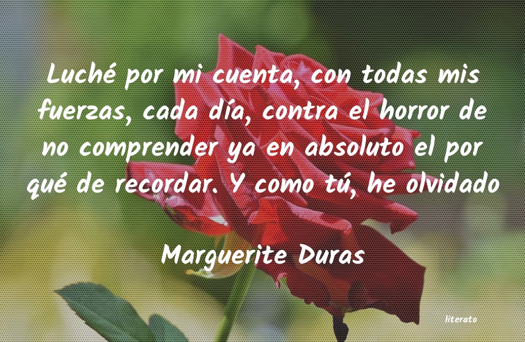 Frases de Marguerite Duras