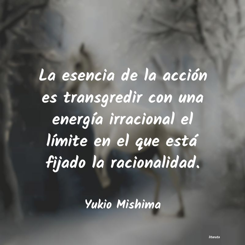 frases de energia universal