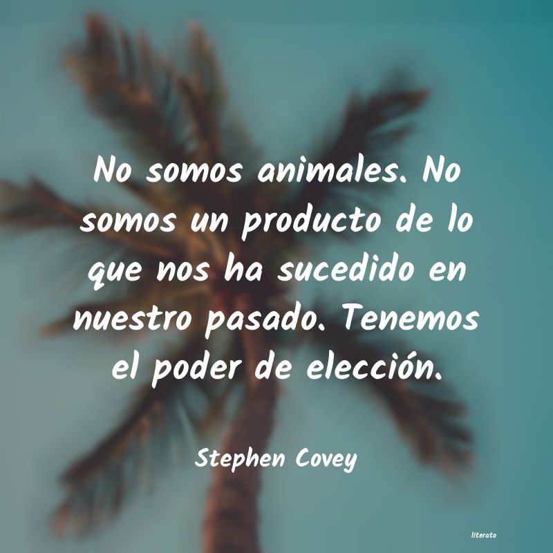 Frases de Stephen Covey