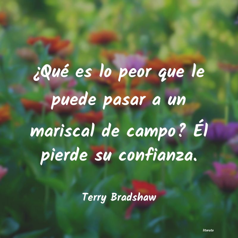 Frases de Terry Bradshaw