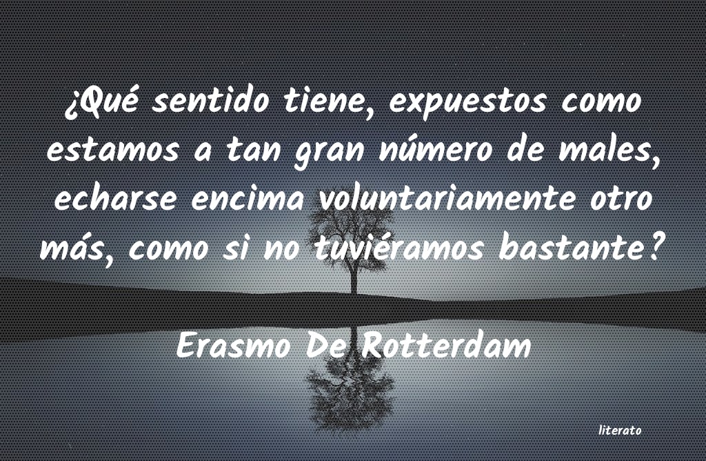pensamiento de erasmo de rótterdam