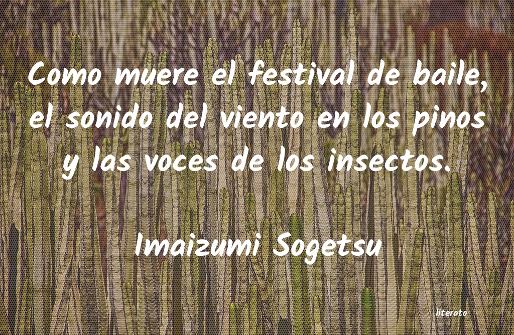 frases de Imaizumi Sogetsu