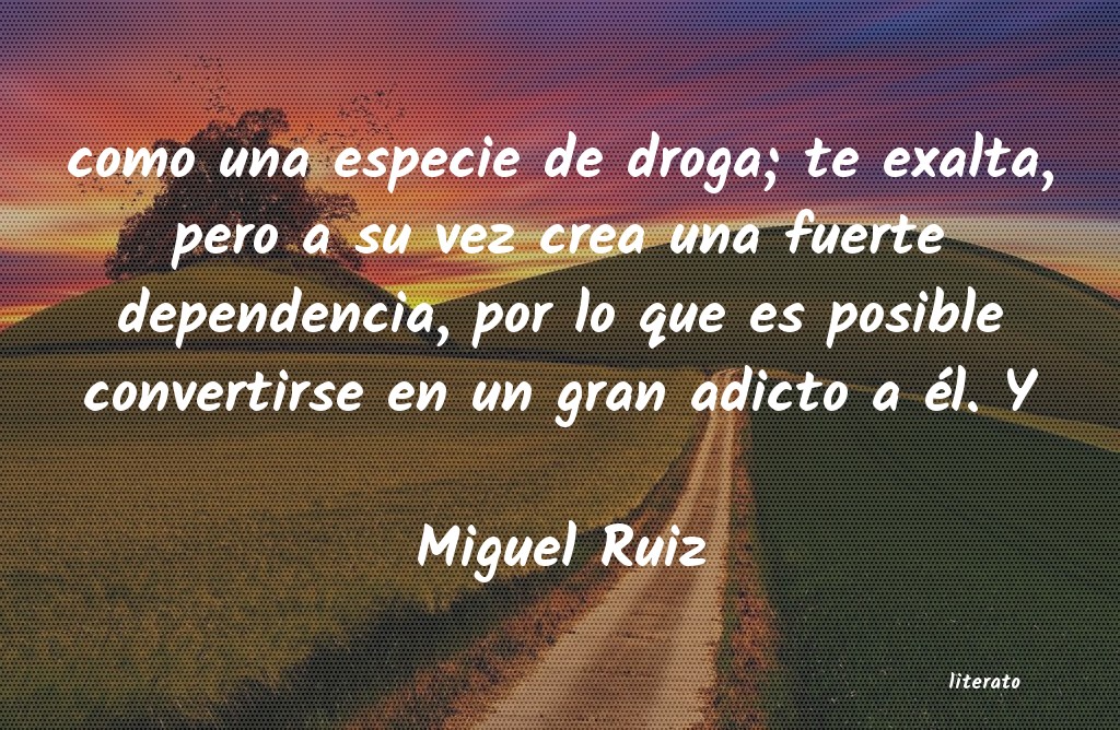 Frases de Miguel Ruiz