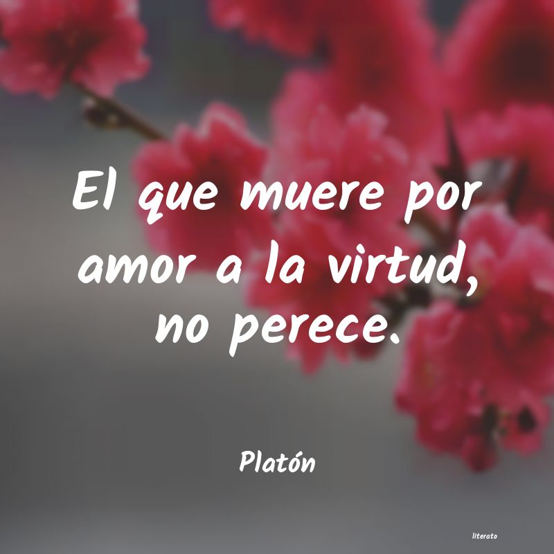 Frases de Platón