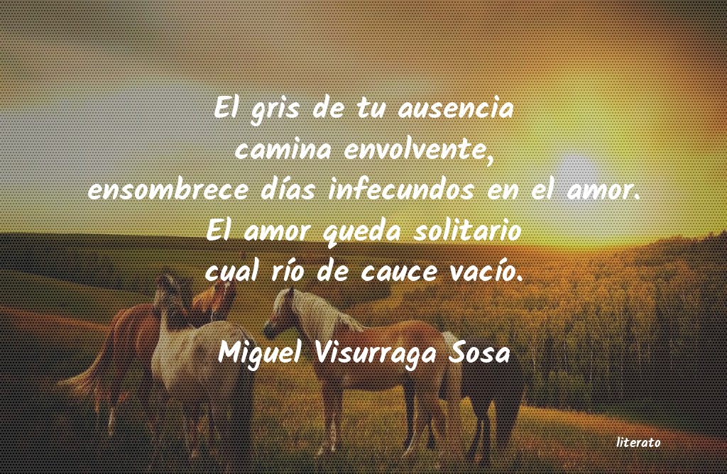 Frases de Miguel Visurraga Sosa