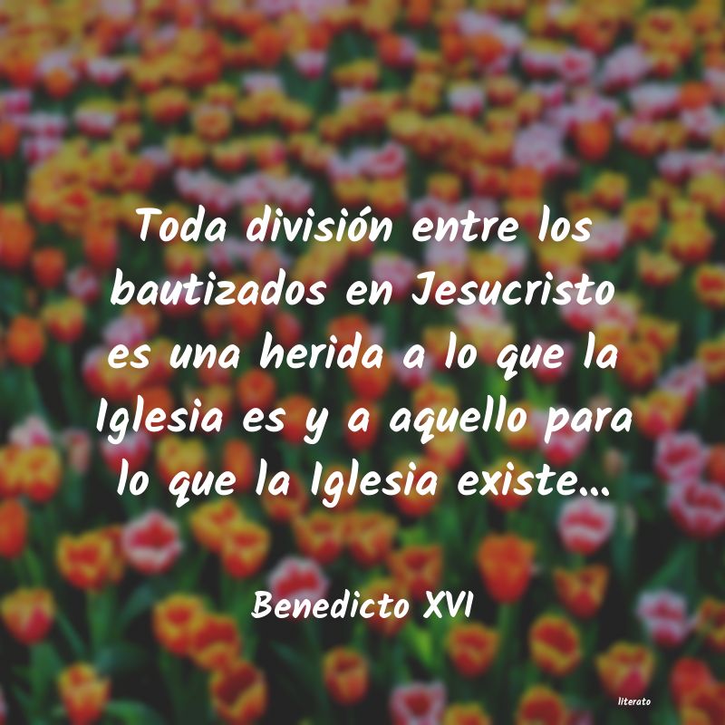 Frases de Benedicto XVI