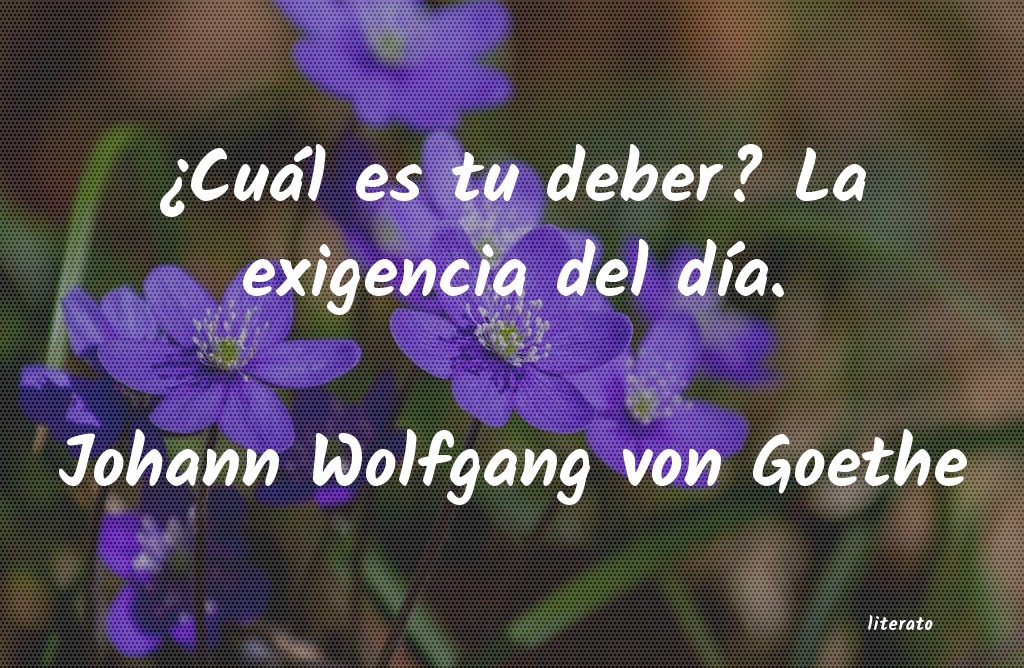 Frases de Johann Wolfgang von Goethe