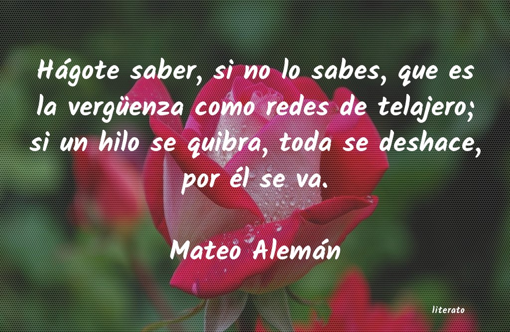 Frases de Mateo Alemán