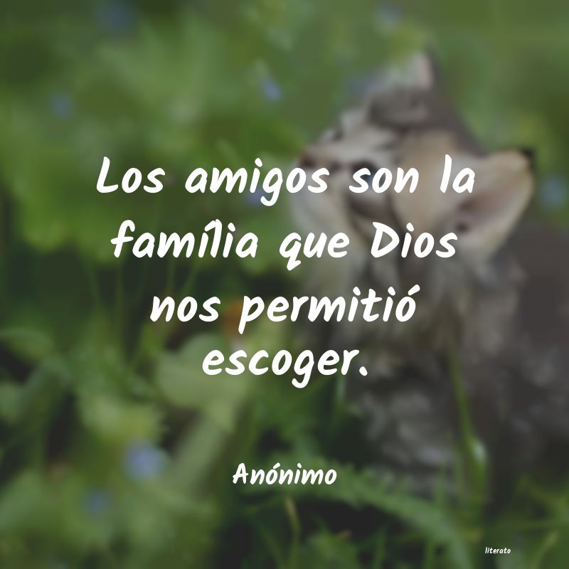 frases