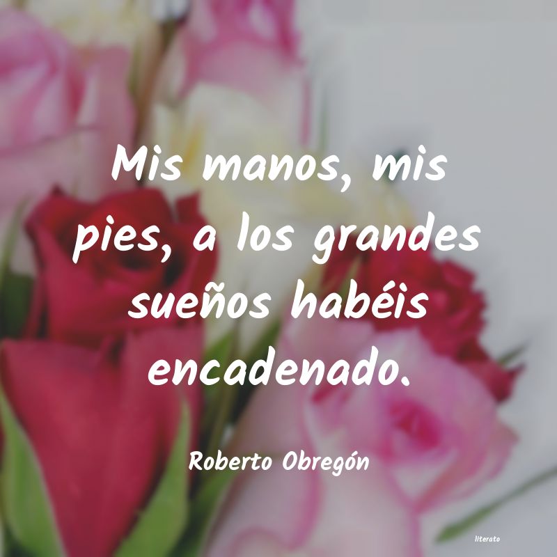 frases de Roberto Obregón