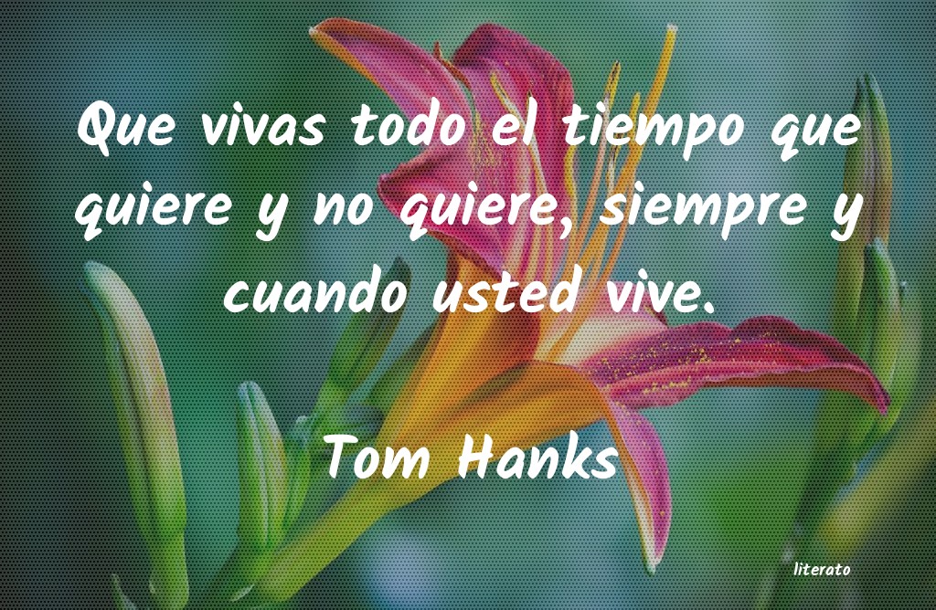 frases de Tom Hanks