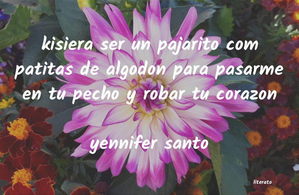 Frases de yennifer santo