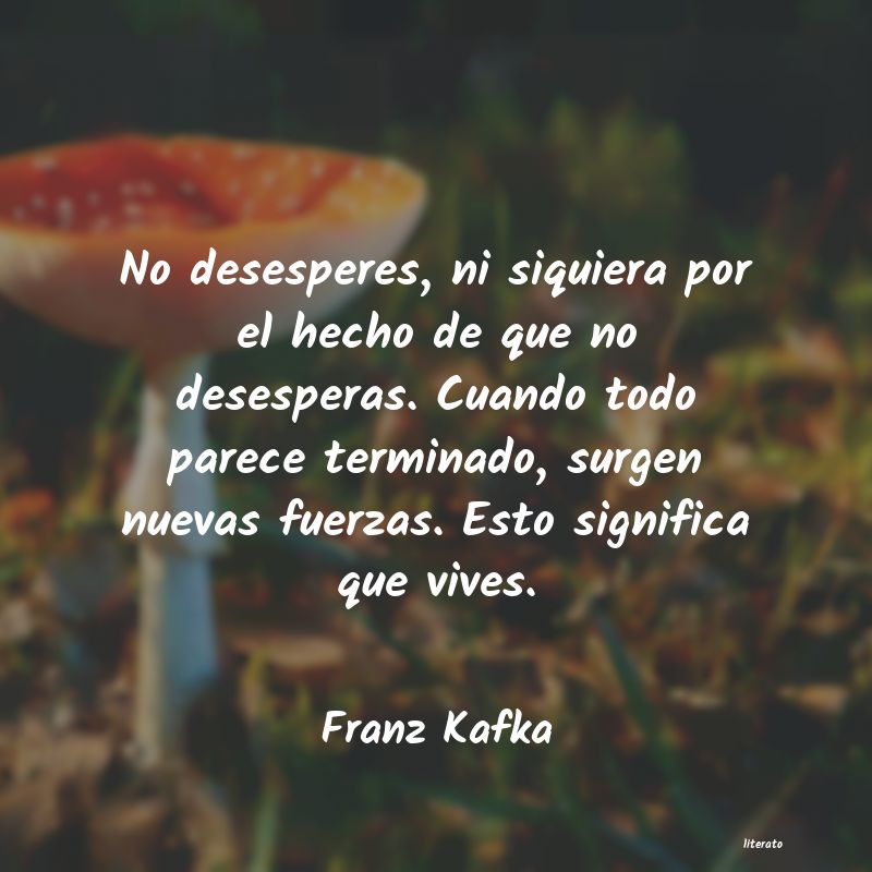 Frases de Franz Kafka