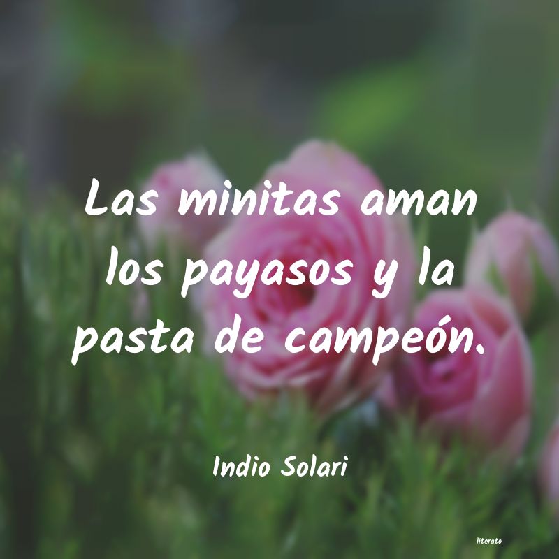 Frases de Indio Solari