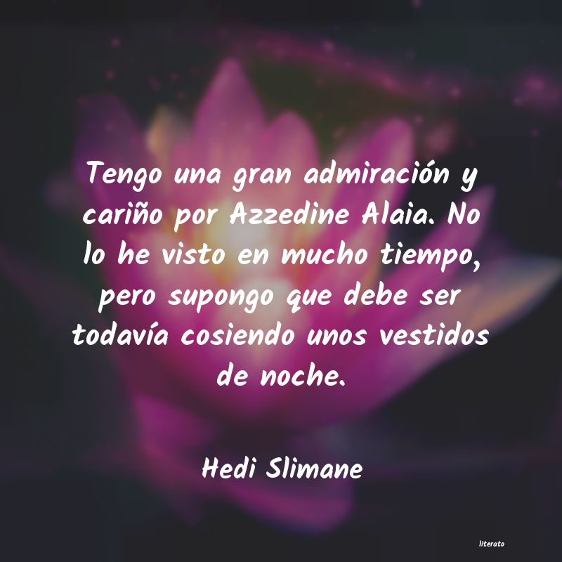 Frases de Hedi Slimane
