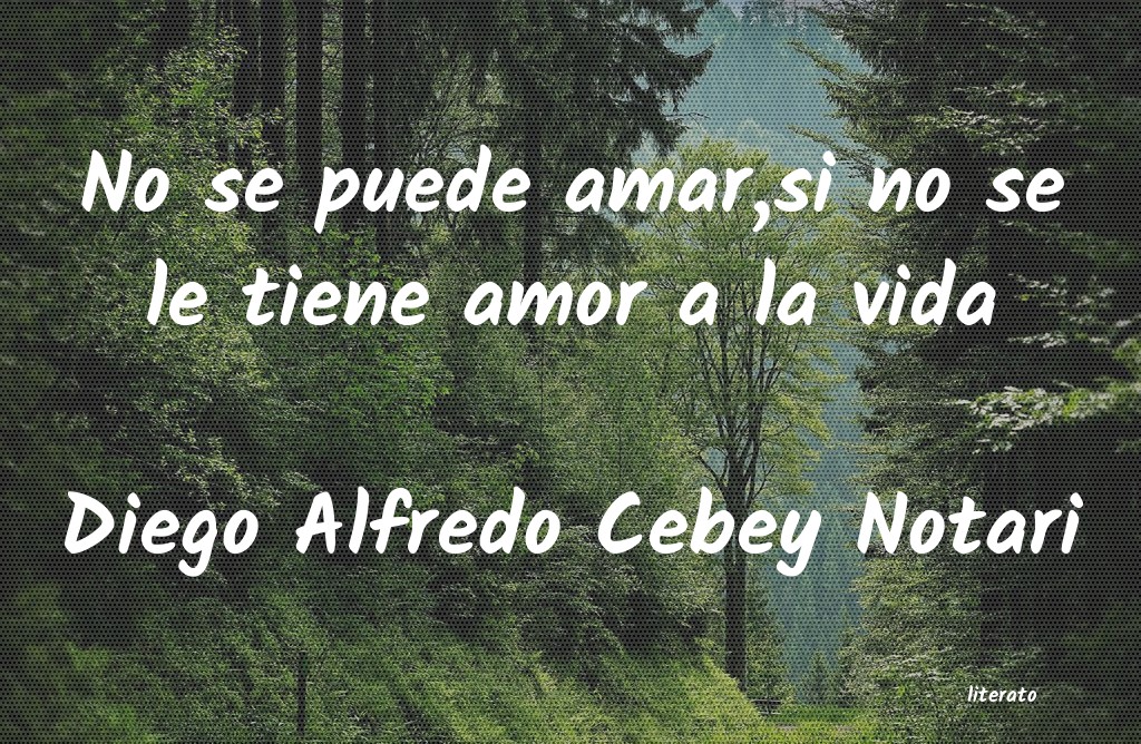 Frases de Diego Alfredo Cebey Notari