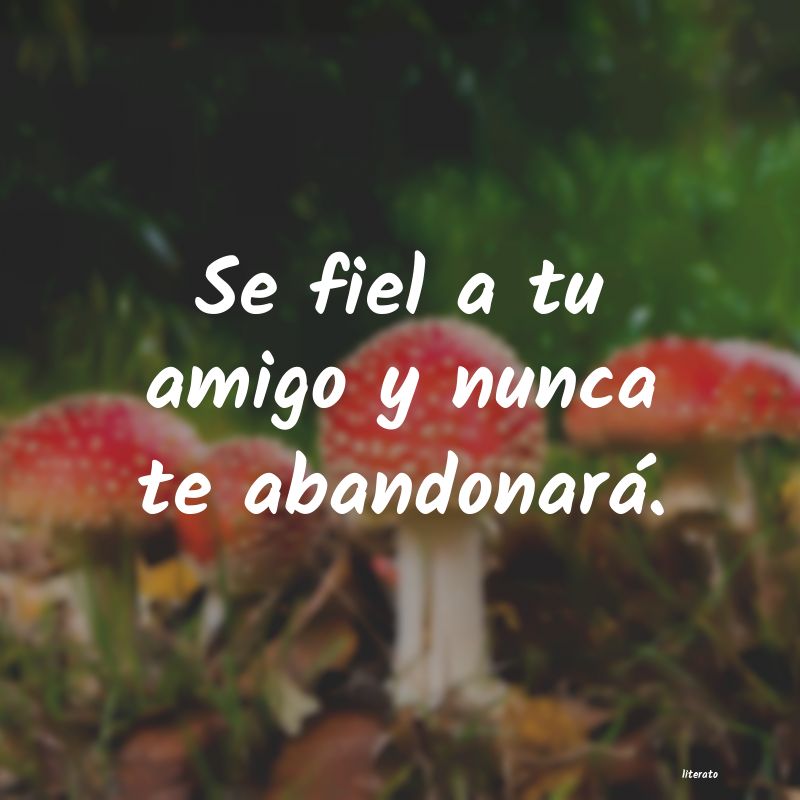 frases