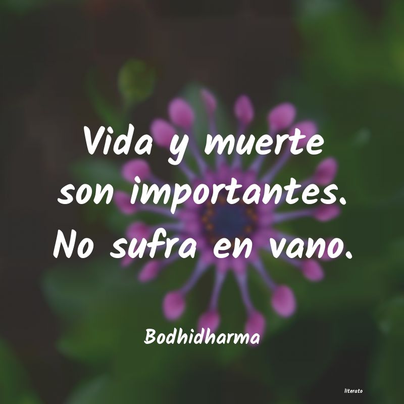 frases de Bodhidharma