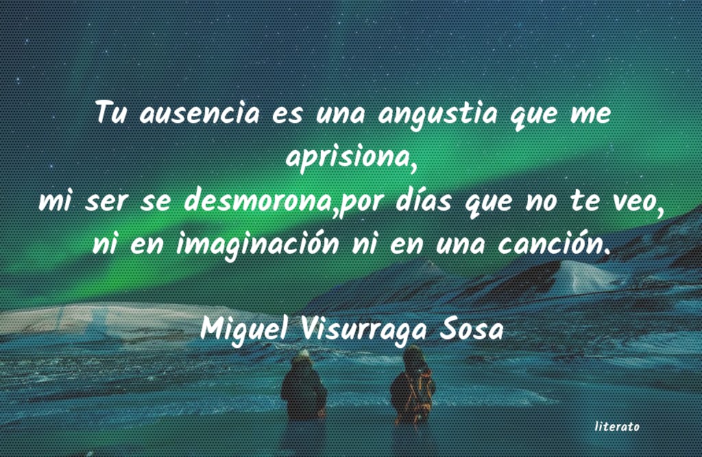 frases de Miguel Visurraga Sosa