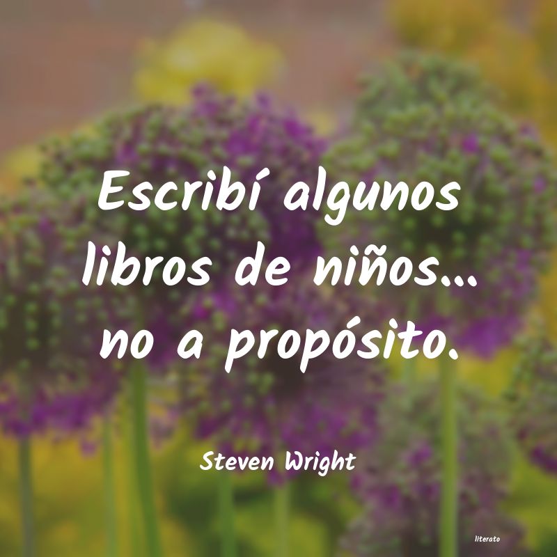 Frases de Steven Wright