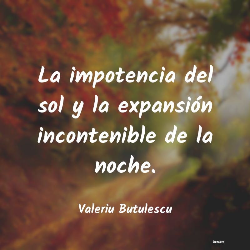 frases de Valeriu Butulescu