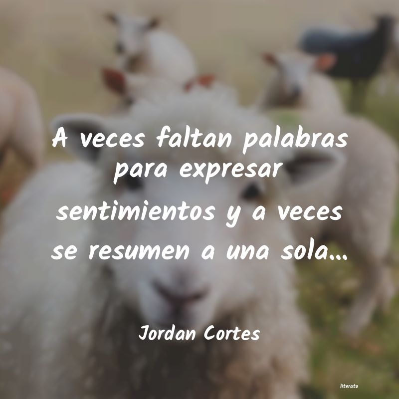 Frases de Jordan Cortes