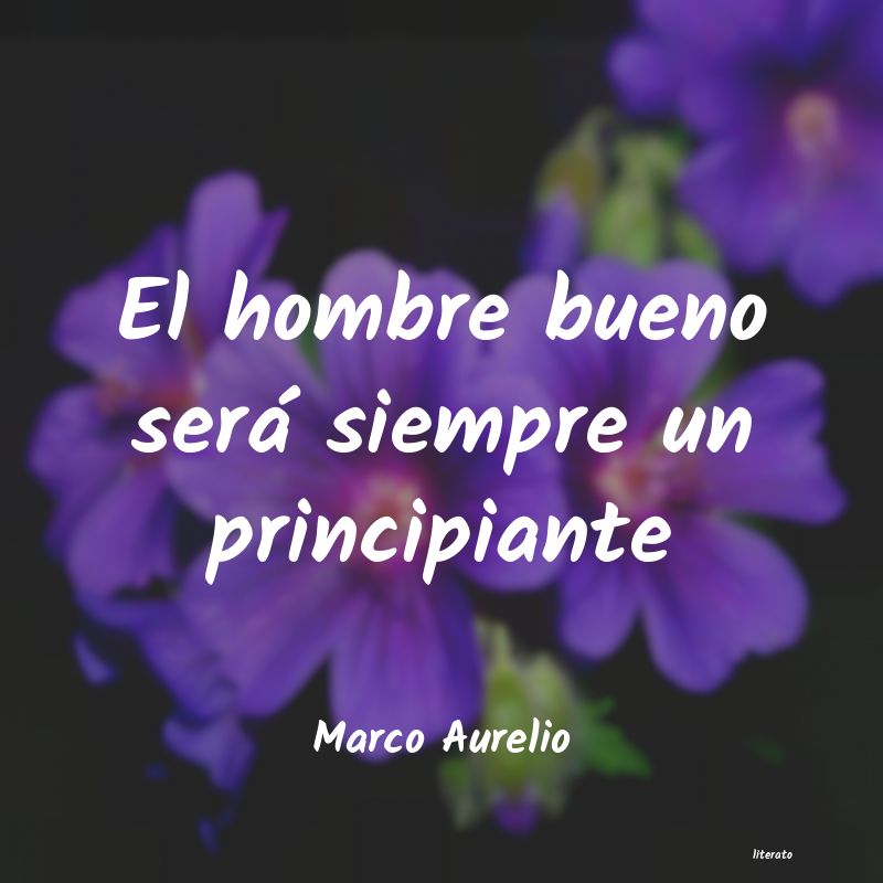 frases cortas para enamorar a un hombre