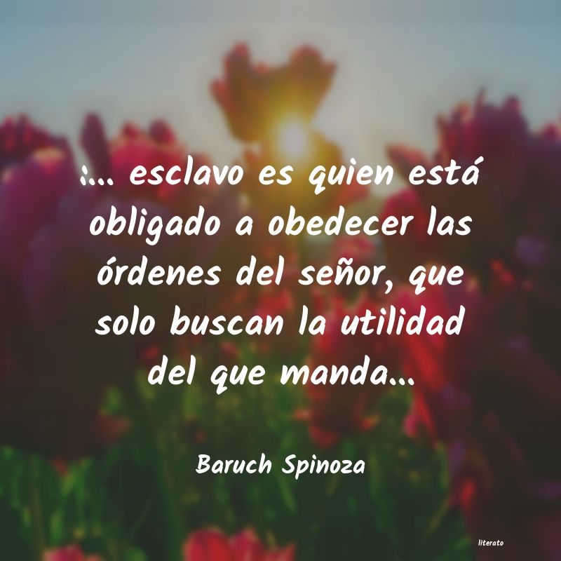 Frases de Baruch Spinoza