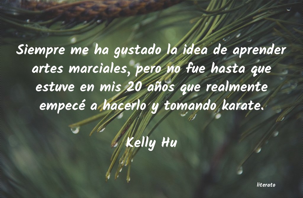 Frases de Kelly Hu