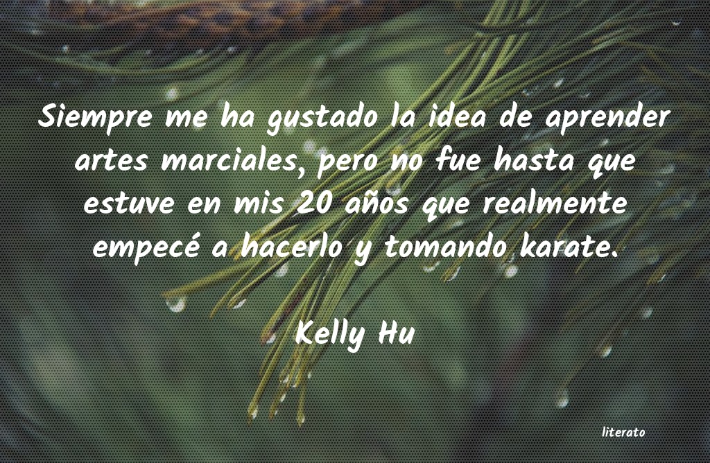 frases de Kelly Hu