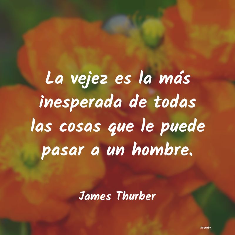 Frases de James Thurber