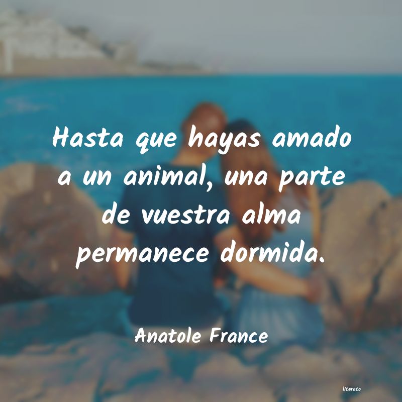 Frases de Anatole France