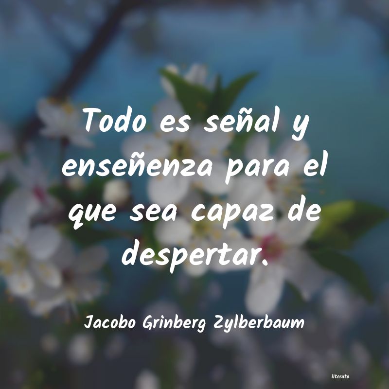 frases de Jacobo Grinberg Zylberbaum