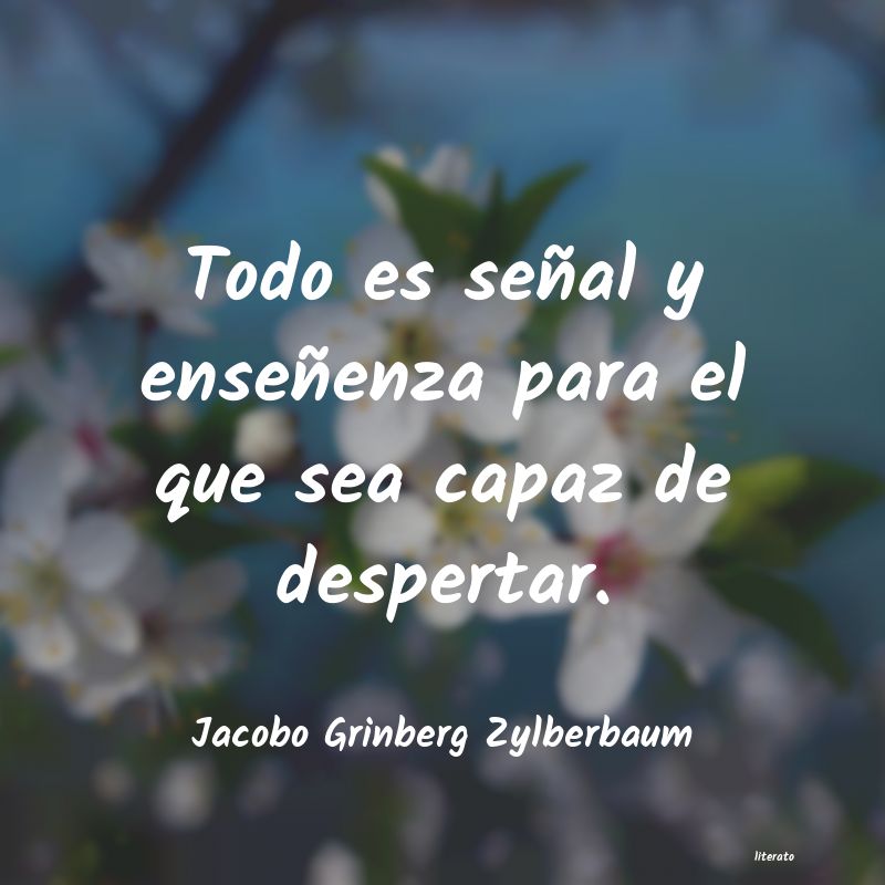 Frases de Jacobo Grinberg Zylberbaum