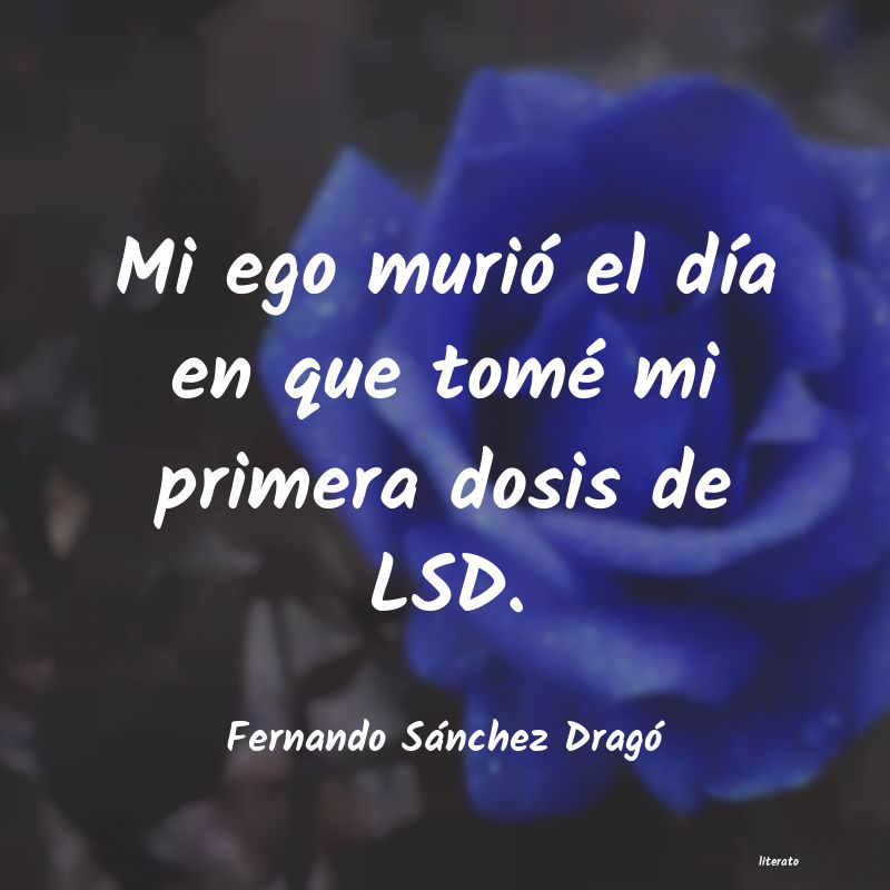 Frases de Fernando Sánchez Dragó