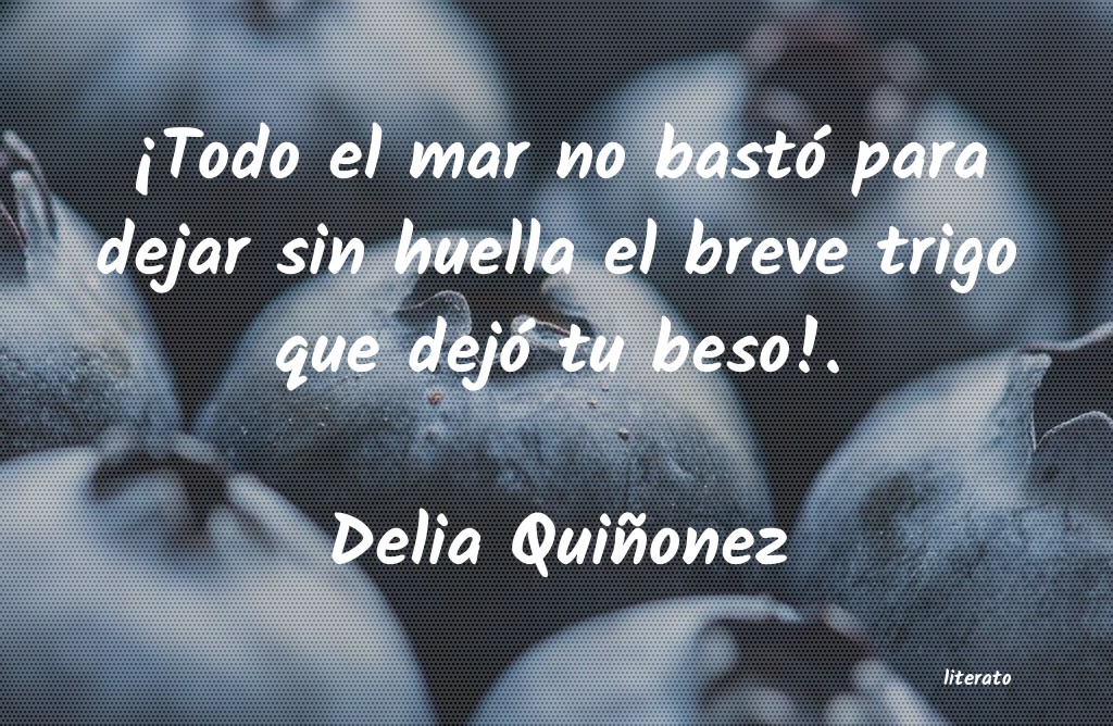 Frases de Delia Quiñonez