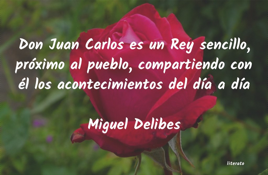frases de Miguel Delibes