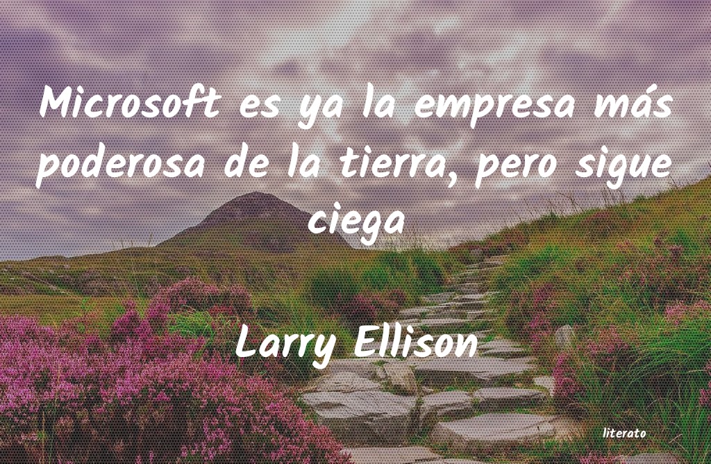 Frases de Larry Ellison