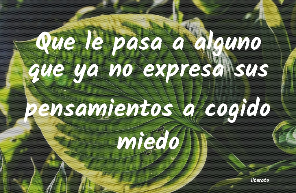 frases