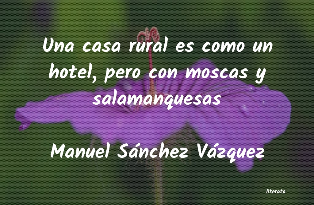 frases de Manuel Sánchez Vázquez