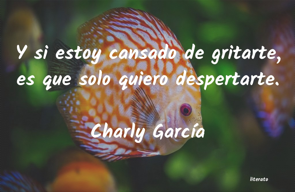 frases de Charly GarcÃa