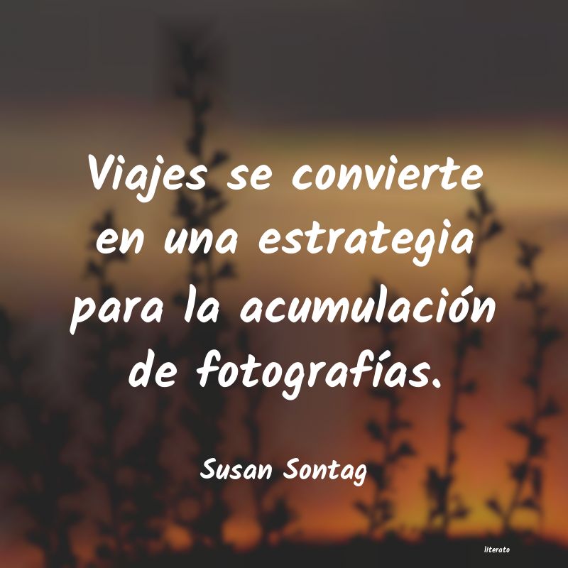 Frases de Susan Sontag