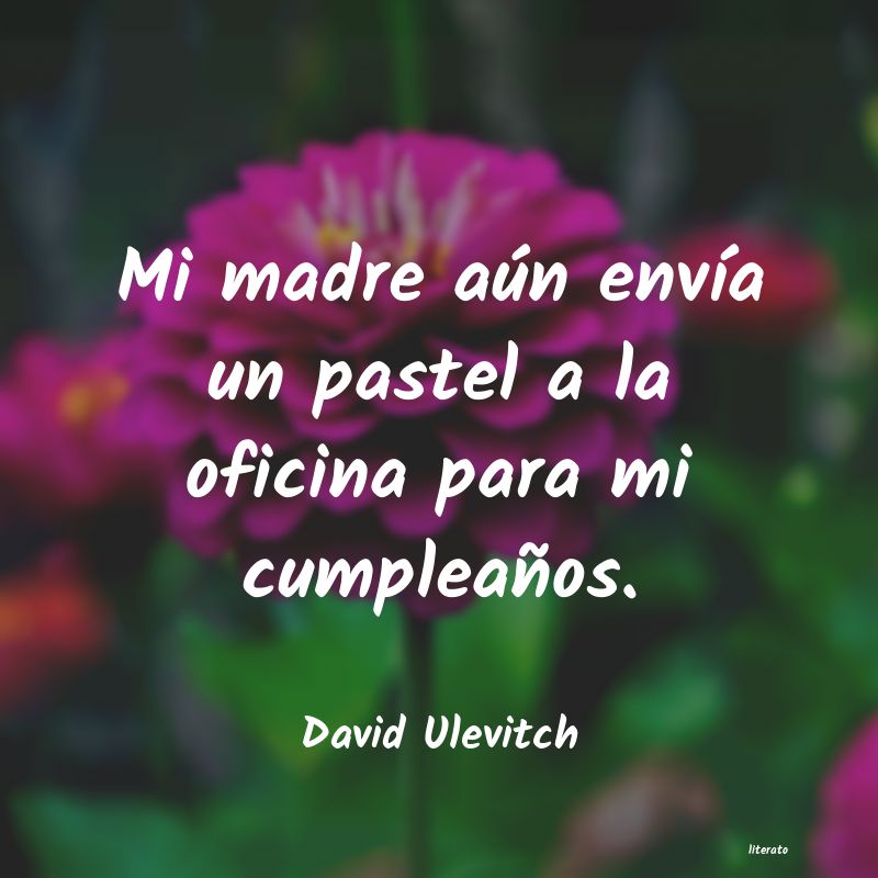 Frases de David Ulevitch