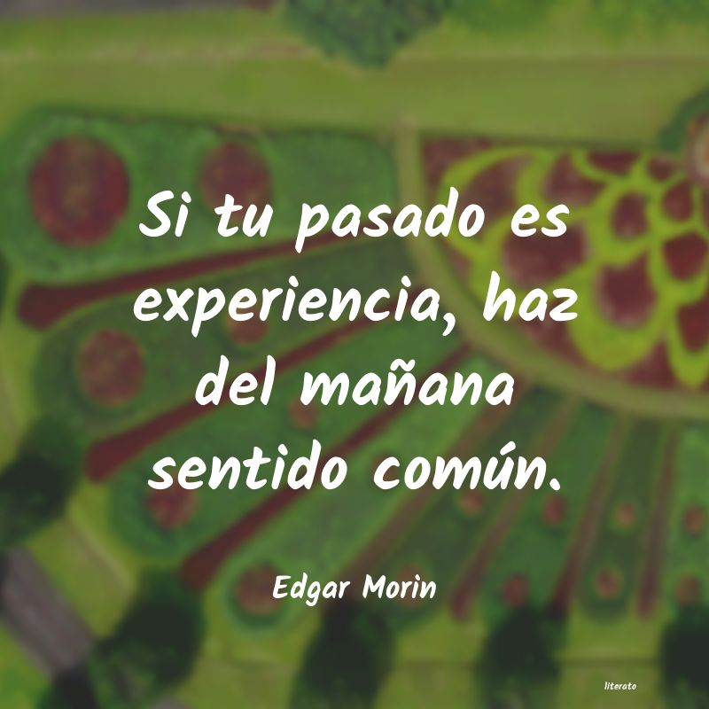 Frases de Edgar Morin