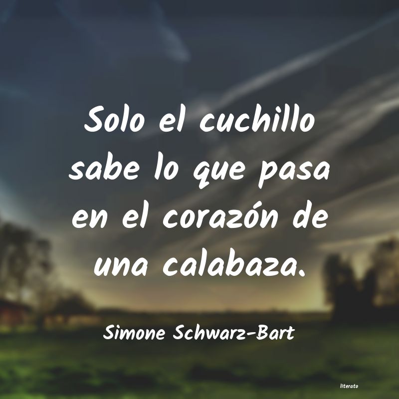 Frases de Simone Schwarz-Bart