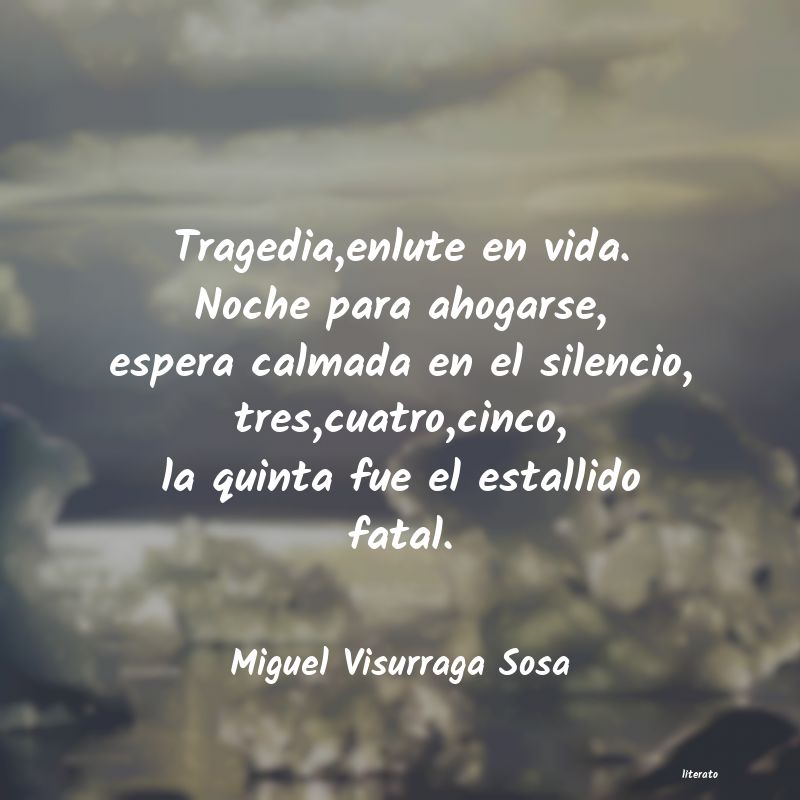 Frases de Miguel Visurraga Sosa