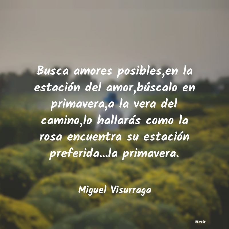 frases de Miguel Visurraga